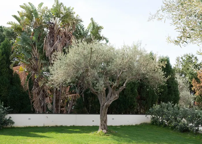 B&B La Manica